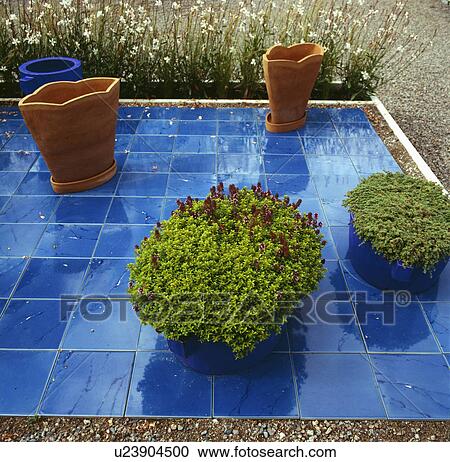 Herbs in pots on bright blue tiles View Large Photo Image Stock Image - Herbs in pots on bright blue tiles. Fotosearch