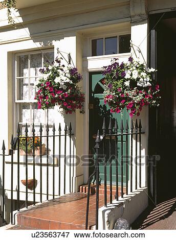 Iron railings and pink and red petunias in hanging baskets on either side of green front door View Large Photo Image Stock Photo - Iron railings and pink and red petunias in hanging baskets on either side of green front door . Fotosearch