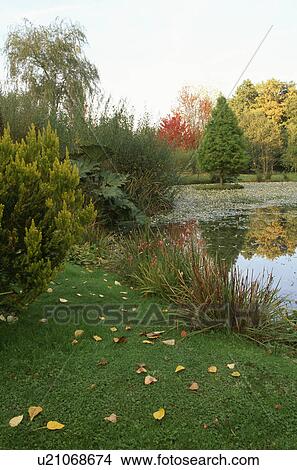 Lake in large country garden in Autumn View Large Photo Image Picture - Lake in large country garden in Autumn. Fotosearch