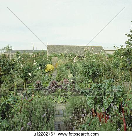 Large country potager garden in summer View Large Photo Image Stock Photo - Large country potager garden in summer. Fotosearch