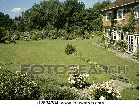 Picture - Large lawn in front of house with ladder on wall below open window. Fotosearch