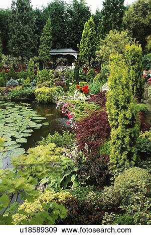 Stock Photo - Large pond and conifers in country garden. Fotosearch