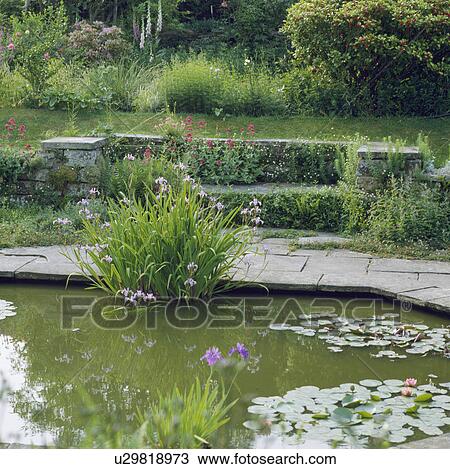 Large rectangular pond in country garden View Large Photo Image Stock Image - Large rectangular pond in country garden. Fotosearch