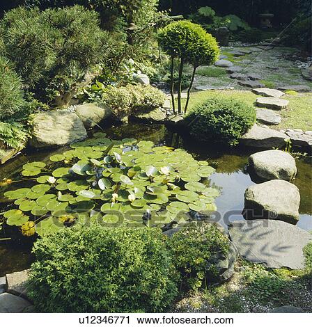 Large stones edging circular pond in country garden View Large Photo Image Stock Image - Large stones edging circular pond in country garden. Fotosearch