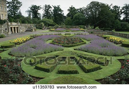 Lavender borders and clipped box patterns in formal knot garden at Mellerstain House in Scottish Borders View Large Photo Image Stock Image - Lavender borders and clipped box patterns in formal knot garden at Mellerstain House in Scottish Borders. Fotosearch