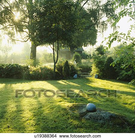 Lawn in summer country garden View Large Photo Image Picture - Lawn in summer country garden. Fotosearch