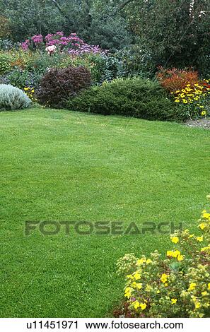 Lawn in summer country garden View Large Photo Image Stock Image - Lawn in summer country garden. Fotosearch