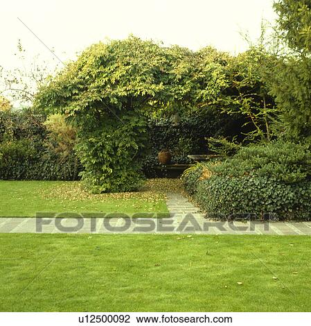 Lawn in summer country garden View Large Photo Image Stock Image - Lawn in summer country garden. Fotosearch