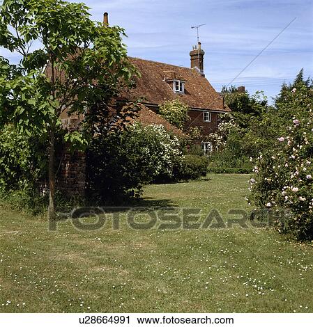 Stock Image - Lawn in summer country garden. Fotosearch