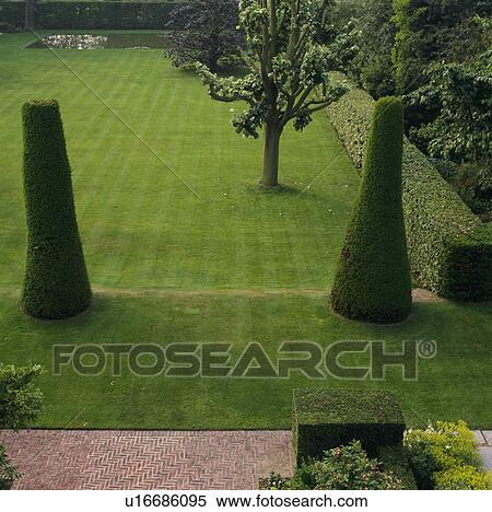 Lawn in summer country garden View Large Photo Image Stock Photography - Lawn in summer country garden. Fotosearch