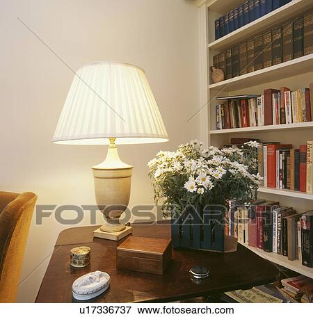 Lighted lamp and white daisies in vase on small table in front of bookshelves View Large Photo Image Stock Photo - Lighted lamp and white daisies in vase on small table in front of bookshelves. Fotosearch