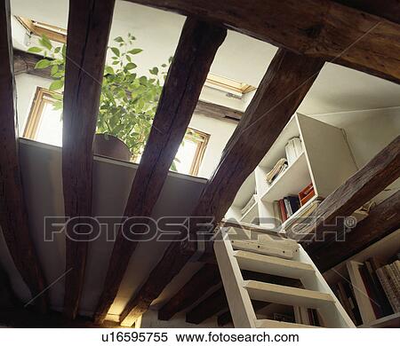 Looking up white wooden stair ladder to open attic landing and ceiling beams View Large Photo Image Stock Photography - Looking up white wooden stair ladder to open attic landing and ceiling beams. Fotosearch