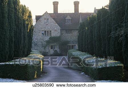Stock Image - Low clipped hedges and yew trees in large country garden in winter. Fotosearch