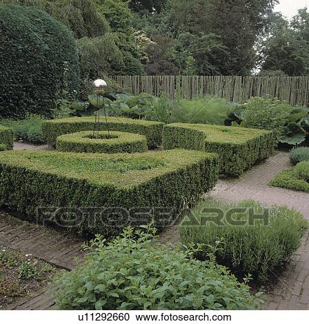 Low clipped hedges in formal country garden in summer View Large Photo Image Stock Image - Low clipped hedges in formal country garden in summer. Fotosearch
