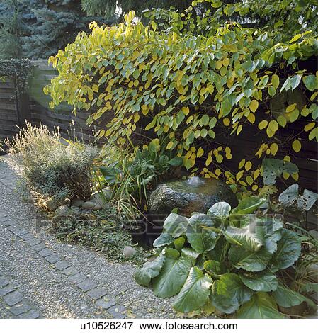 Lush green plants and small water feature View Large Photo Image Stock Photo - Lush green plants and small water feature. Fotosearch