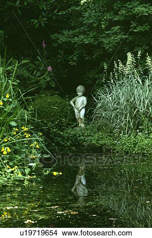 Picture - Lush plants around pond in country garden in summer. Fotosearch