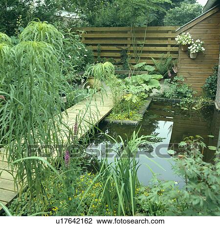 Stock Image -  Lush plants around pond in country garden in summer. Fotosearch