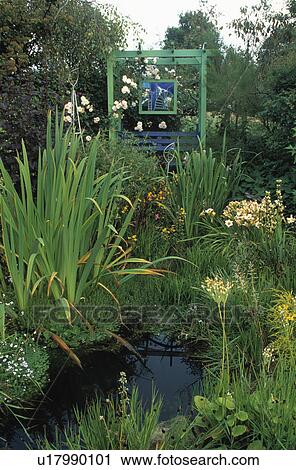 Stock Image - Lush plants around pond in country garden in summer. Fotosearch