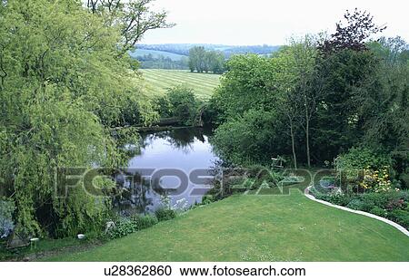 Stock Image - Lush plants around pond in country garden in summer. Fotosearch