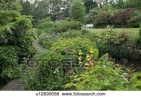 Lush plants around pond in country garden in summer View Large Photo Image Stock Photo - Lush plants around pond in country garden in summer. Fotosearch