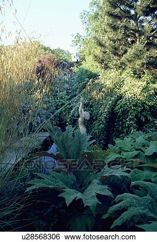 Lush plants around pond in country garden in summer View Large Photo Image Stock Photograph - Lush plants around pond in country garden in summer. Fotosearch