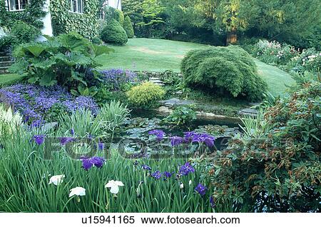 Lush plants around pond in country garden in summer View Large Photo Image Stock Photography - Lush plants around pond in country garden in summer. Fotosearch