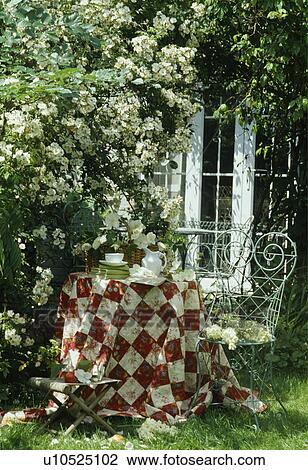 Metal chair and table with red+white patchwork cloth below white climbing rose View Large Photo Image Stock Image - Metal chair and table with red+white patchwork cloth below white climbing rose. Fotosearch