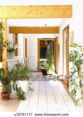 Stock Photo - Modern country hall with green houseplants and white tiled floor. Fotosearch