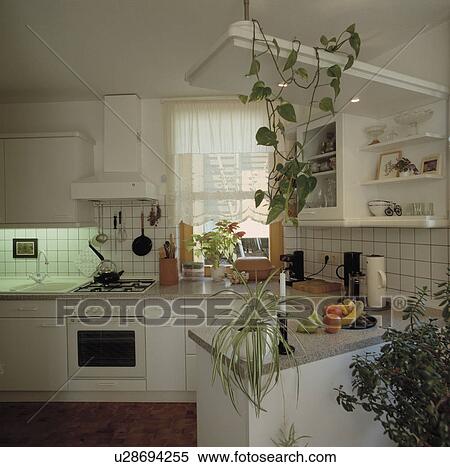 modern kitchen View Large Photo Image Stock Photography - modern kitchen. Fotosearch