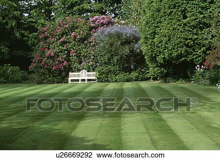 Mown stripes on lawn in large country garden in Spring View Large Photo Image Stock Image - Mown stripes on lawn in large country garden in Spring. Fotosearch
