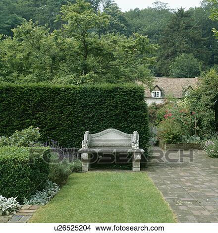 Narrow lawn beside paved path leading to stone seat in front of clipped yew hedge in large country garden View Large Photo Image Picture - Narrow lawn beside paved path leading to stone seat in front of clipped yew hedge in large country garden . Fotosearch