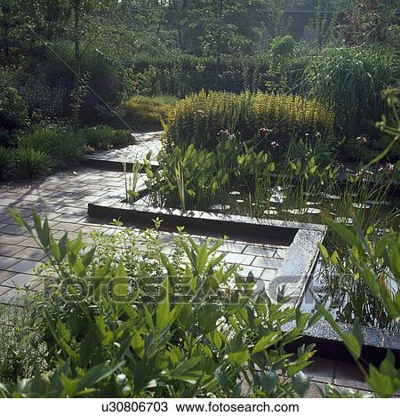 Narrow rectangular ponds in summer garden View Large Photo Image Stock Image - Narrow rectangular ponds in summer garden. Fotosearch