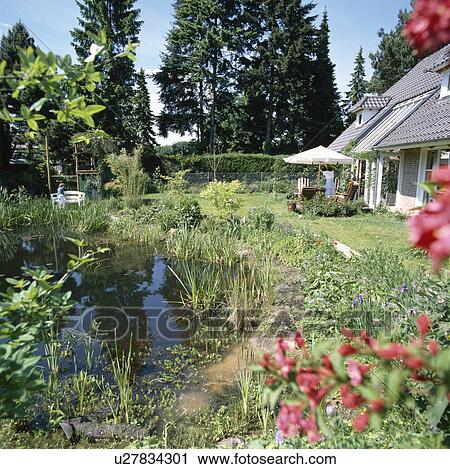Natural pond in front of lawn in country garden View Large Photo Image Stock Image - Natural pond in front of lawn in country garden. Fotosearch
