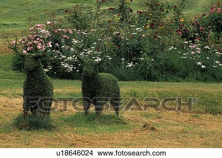 Novelty sculpture in country garden View Large Photo Image Picture - Novelty sculpture in country garden. Fotosearch