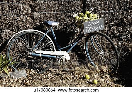 Old blue bike with basket full of pears against wall of hay bales View Large Photo Image Picture - Old blue bike with basket full of pears against wall of hay bales. Fotosearch
