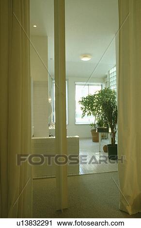 Open cream curtains leading through to modern white bathroom with white tiled floor and large houseplant View Large Photo Image Stock Image - Open cream curtains leading through to modern white bathroom with white tiled floor and large houseplant. Fotosearch