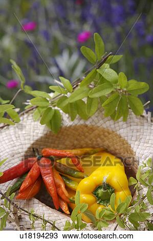 orange, outside, still-life, fruit, yellow, food View Large Photo Image Stock Image - orange, outside, still-life, fruit, yellow, food. Fotosearch