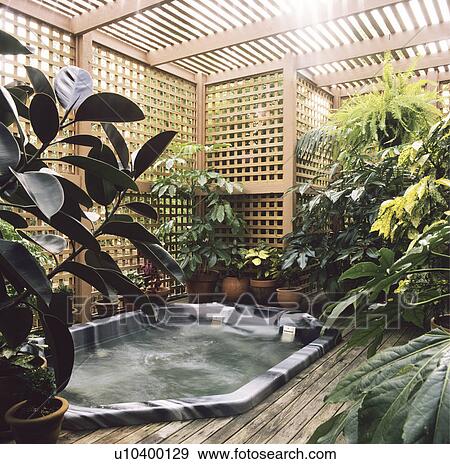 Outdoor jacussi set in decking and surrounded by trellis and plants for privacy View Large Photo Image Stock Photo - Outdoor jacussi set in decking and surrounded by trellis and plants for privacy. Fotosearch