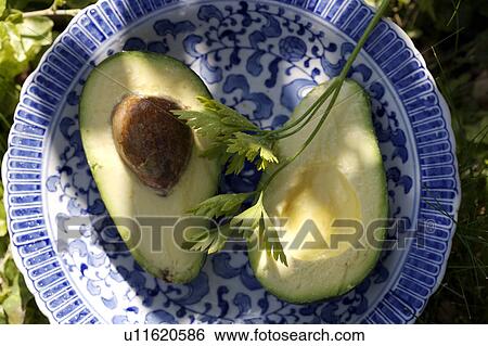 outside, still-life, fruit, food View Large Photo Image Stock Photograph - outside, still-life, fruit, food. Fotosearch