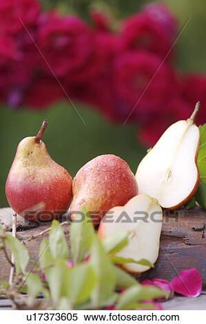 outside, still-life, fruit, food View Large Photo Image Stock Photography - outside, still-life, fruit, food. Fotosearch