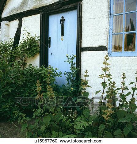 Stock Image - Pastel blue door and window on traditional white country cottage. Fotosearch