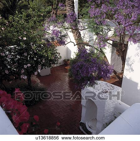 Stock Photograph - Patio in Mediterranean garden in summer. Fotosearch