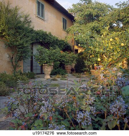 Stock Photograph - Patio in Mediterranean garden in summer. Fotosearch
