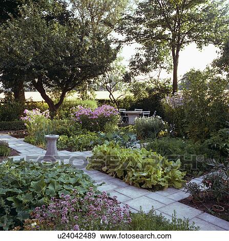 Stock Photo - Paved path in country potager garden . Fotosearch