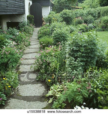 Paved path through borders in country garden in summer View Large Photo Image Stock Photo - Paved path through borders in country garden in summer. Fotosearch