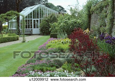Pink armeria with blue iris in early summer flowering border beside grass path to greenhouse in walled country garden View Large Photo Image Stock Image - Pink armeria with blue iris in early summer flowering border beside grass path to greenhouse in walled country garden. Fotosearch