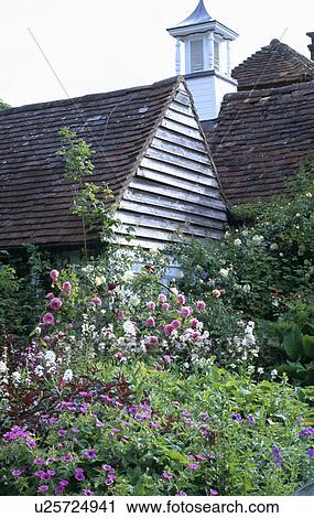Pink roses and flowering plants in garden border of traditional country house in summer View Large Photo Image Stock Image - Pink roses and flowering plants in garden border of traditional country house in summer. Fotosearch