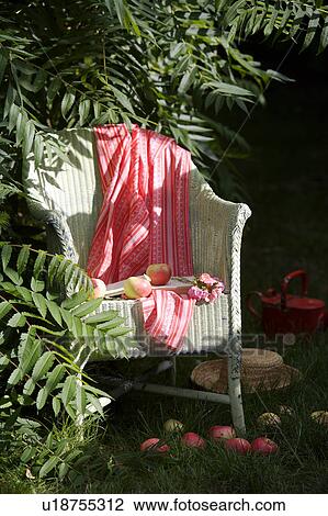 Pink throw on white Lloyd Loom chair View Large Photo Image Stock Image - Pink throw on white Lloyd Loom chair. Fotosearch