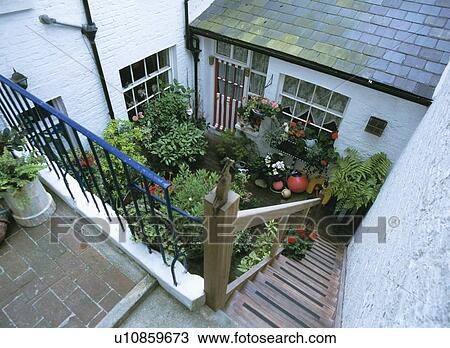 Stock Image - Plants and ferns in pots in basement patio. Fotosearch