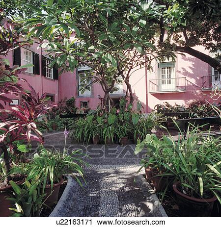 Plants In Pots Shady Courtyard Front Of Pink Mediterranean Plants In Pots Shady Courtyard